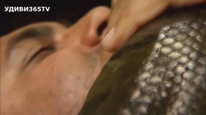 АНАКОНДА убивает за 3 минуты. Анаконда не делает различий между человеком и животными!