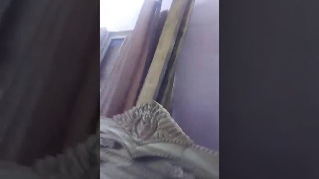 Ajmal,Ahmad,2,a,gmail,com,pBlik смотреть онлайн