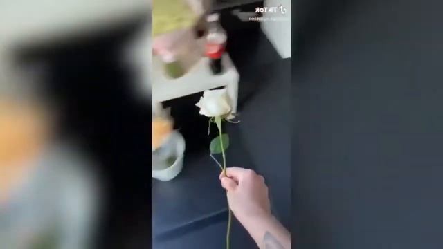 Даня Милохин (перезалив) смотреть онлайн