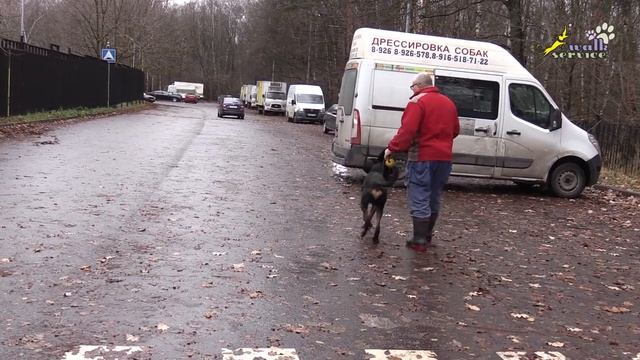 Босерон, Играем с высылом вперёд 06 11 2023 смотреть онлайн