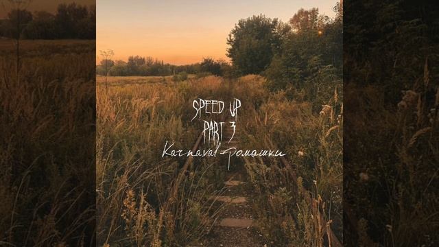 karna.val-ромашки speed up