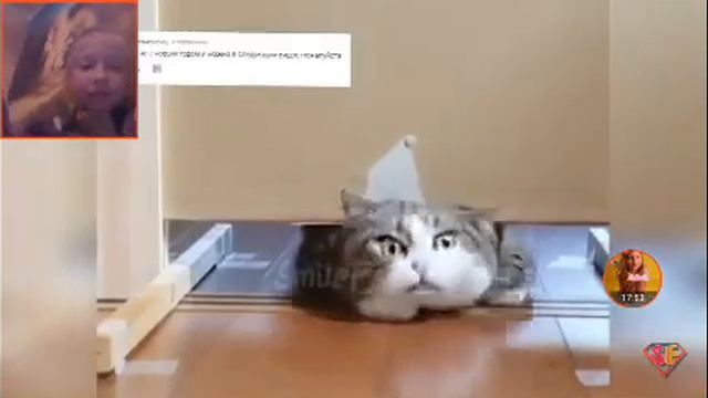 35 минут смеха смотреть онлайн