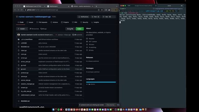 [libp2p Stewards] EngRes Demo - April 2022 - Using WebTransport to connect Browsers to libp2p смотреть онлайн