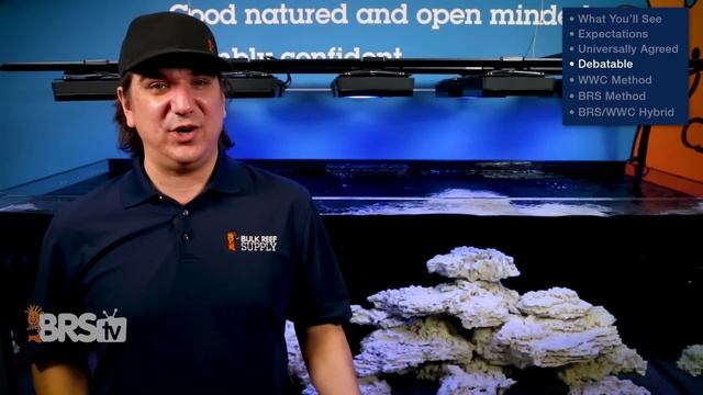 Ep11: SPS reef tank lighting made simple and stable. - The BRS/WWC System смотреть онлайн