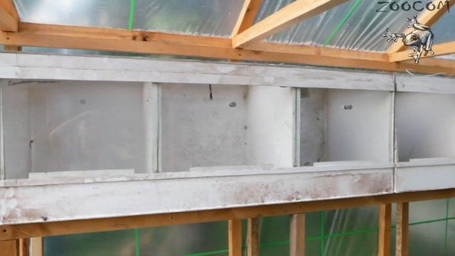 Место жабы - в теплице! Ужа - на навозной куче))) смотреть онлайн