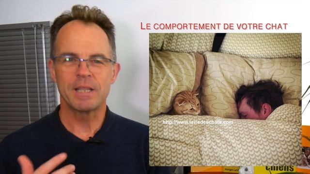 VOTRE CHAT DORT AVEC VOUS LA NUIT ? ? смотреть онлайн