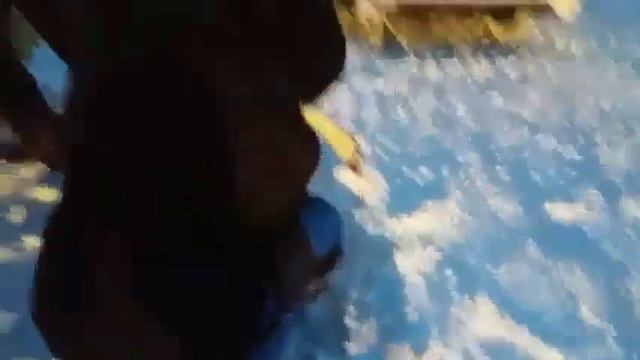 В Ровно спасают замерзающих лебедей смотреть онлайн