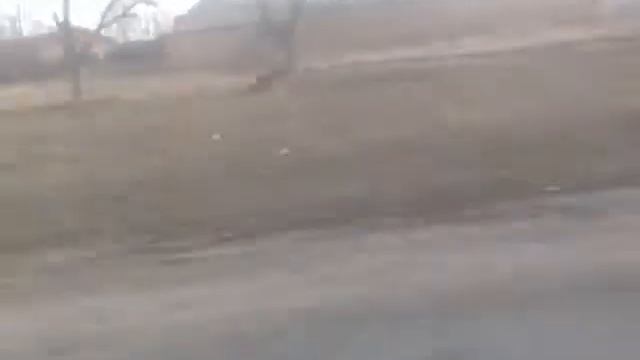 Мотоблок-Запорожець смотреть онлайн