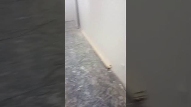 эшик урнатиш гулистонда дабор 40 лик 5 та эшик 2 кунда тугатдик.