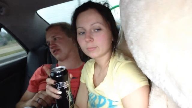 Выезд в Павловский Посад: дорога домой смотреть онлайн