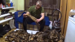 Регион 88 | Охота на соболя. Итоги сезона. Мягкое золото