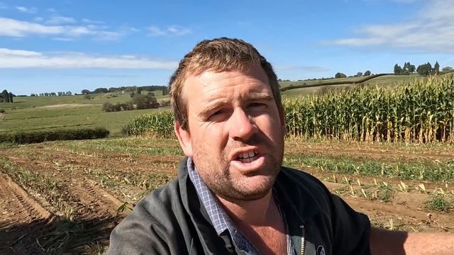 Maize Harvest 2022 Is All Go!!! смотреть онлайн