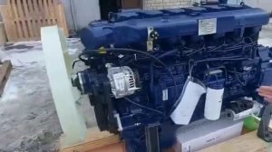 Дизельный двигатель Weichai WP12