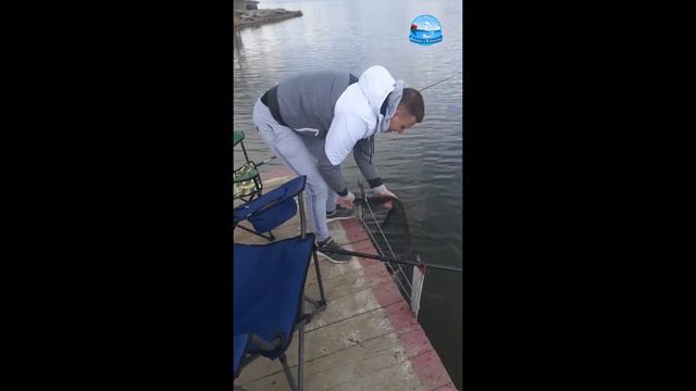 Отзывы рыбаков о рыбалке в Доброславе Одесской области, 09.04.2021 смотреть онлайн