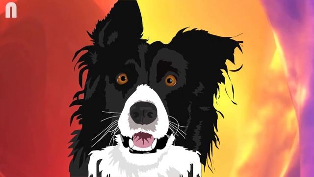 Dog Bark Test | This Sound Will Make Your Dogs Barking смотреть онлайн