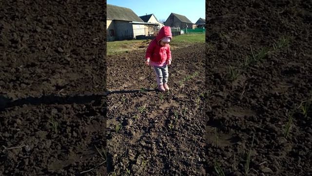 Село Весёлый Кут смотреть онлайн