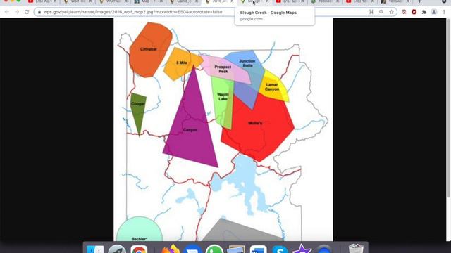 The Best Place In Yellowstone To Find Wolves! смотреть онлайн