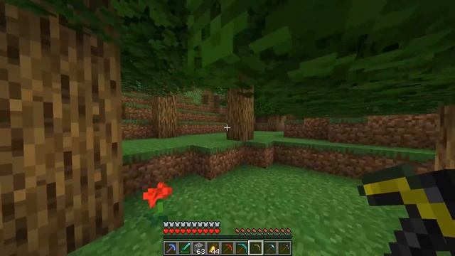 Minecraft pickaxe confusion смотреть онлайн