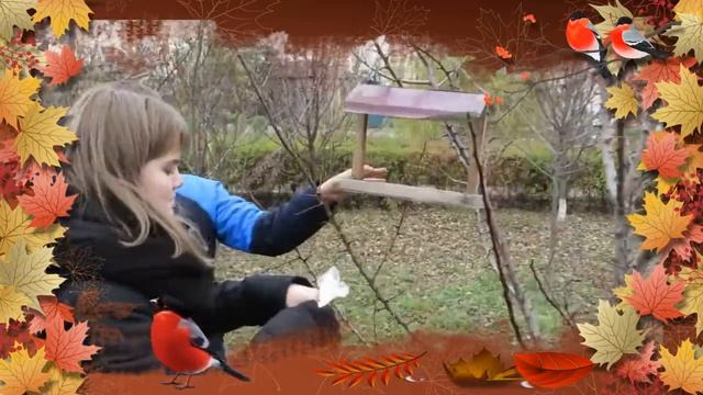 акция "В защиту зимующих птиц" смотреть онлайн