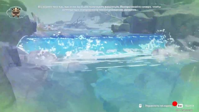 СТРАННИК И КОКОМИ ИЩУТ С КЕМ ПОИГРАТЬ, GENSHIN IMPACT. смотреть онлайн