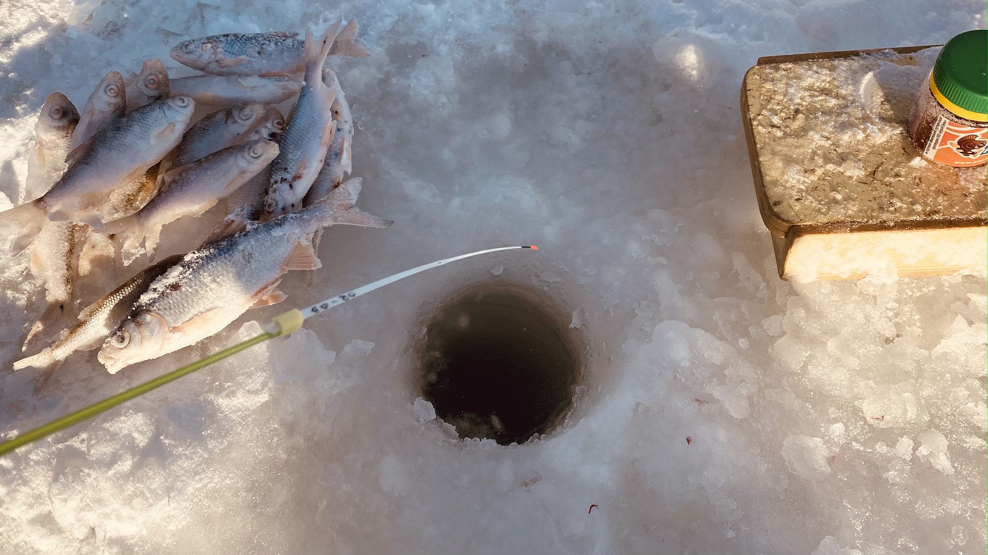 ОПУСТИЛ МОРМЫШКУ В лунку КИВОК СРАЗУ ЗАГНУЛО Ловля плотвы Рыбалка 2024 смотреть онлайн