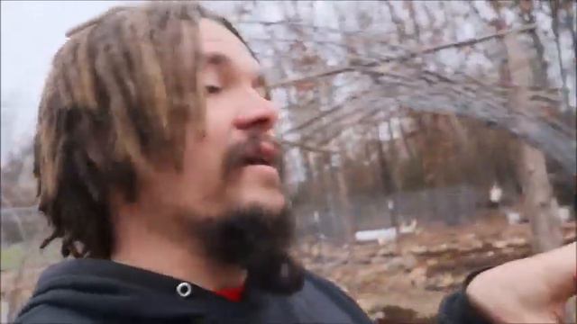 WHY WE USED RAISED BEDS смотреть онлайн