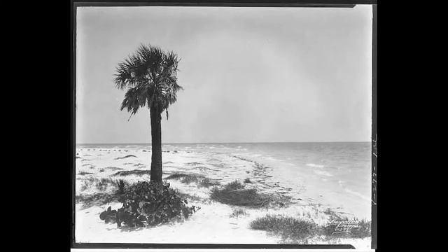 Tampa: Untold Stories -  The Italian Club