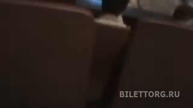 МТЮЗ схема зала, партер обзор зала смотреть онлайн