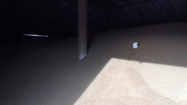 кориандр смотреть онлайн