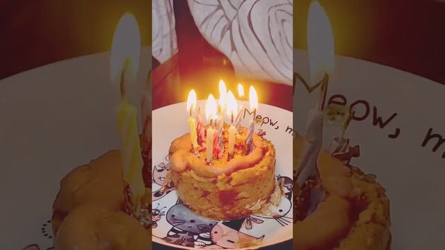 Единственная кудрявая кошечка в Таиланде из Сибири, принимает поздравления смотреть онлайн