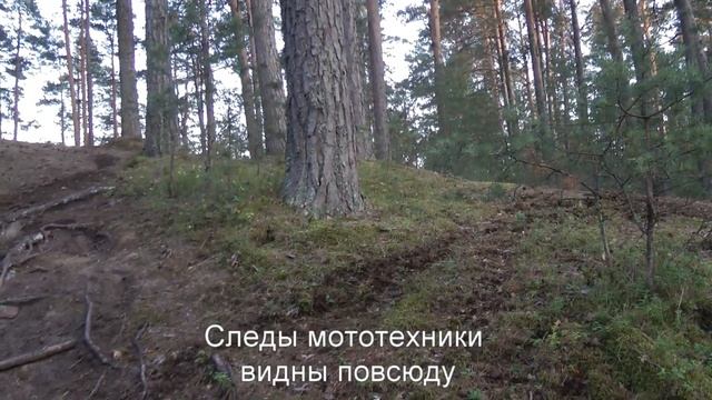 Дюны. Горовалдайское озеро, Лен.область смотреть онлайн