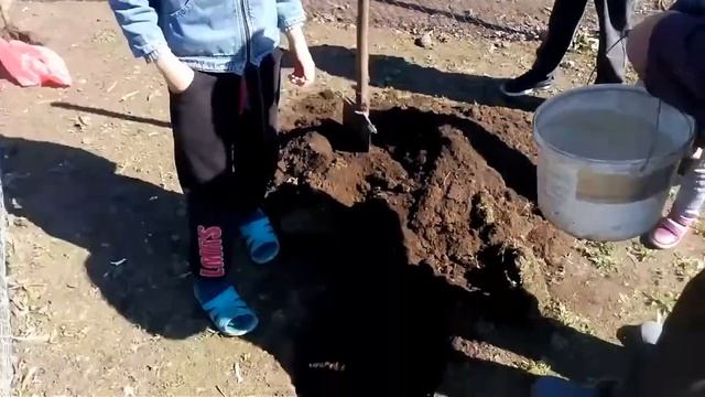 Весна пришла, посадка Липы 11.04.2021 смотреть онлайн