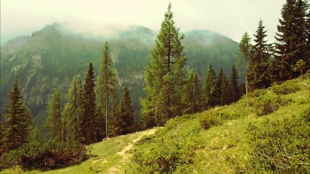 Сказка на ночь 12 . Священное застолье 1 часть . Фэнтези смотреть онлайн