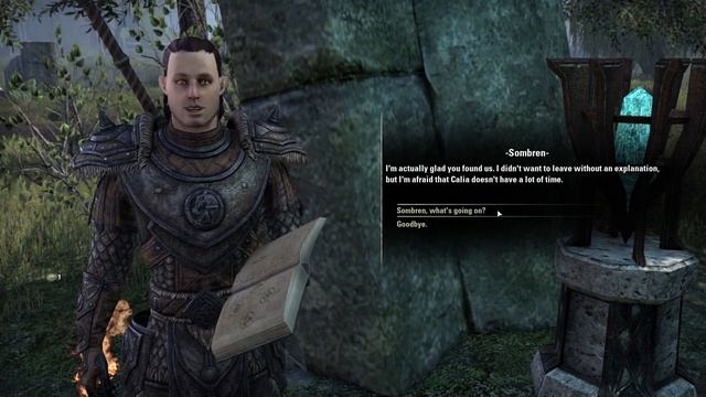 Heroes of Blackwood Walkthrough | ESO Blackwood Main Quest (The Elder Scrolls Online Guide) смотреть онлайн