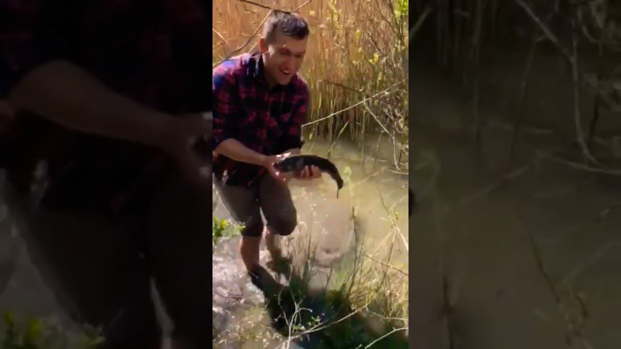 Когда забыл удочку дома #shots #blacksea #kayakfishing смотреть онлайн