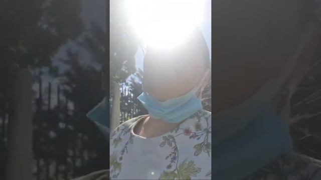 Последний День Практики смотреть онлайн