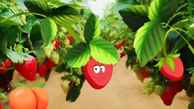 УЧИМ НАЗВАНИЕ ФРУКТОВ . А для мам и пап СУПЕР скидки от ПЯТОРОЧКИ? смотреть онлайн