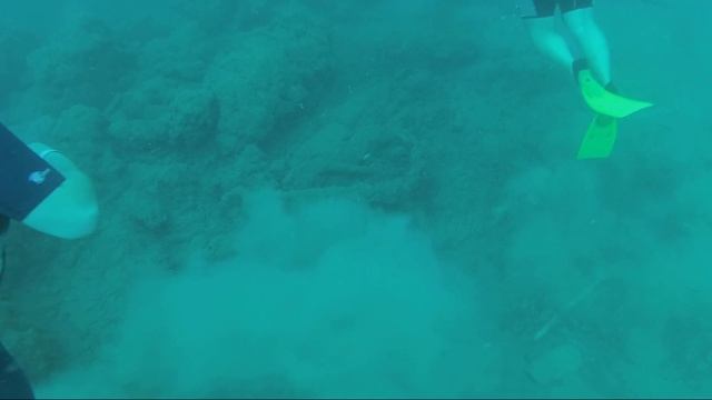 Diving Incekum, Alanya смотреть онлайн