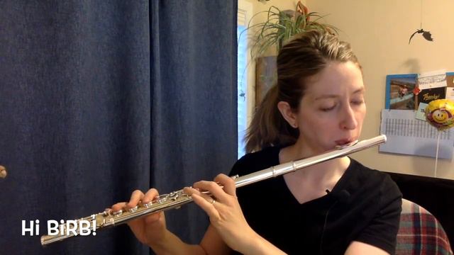 Girl With a Flute and a Parrot - Day 29: The Bird is Not Impressed! смотреть онлайн