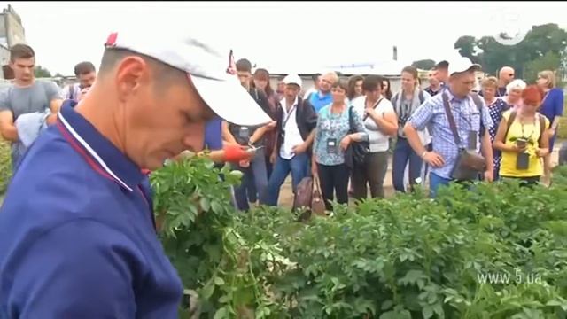 Картопляна майстерня АГРІКО УКРАЇНА - 2017 смотреть онлайн