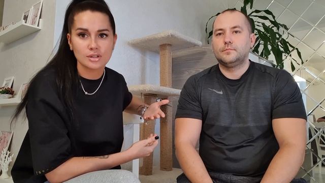 Как сделать домик для кота? Когтеточка своими руками - продолжение смотреть онлайн