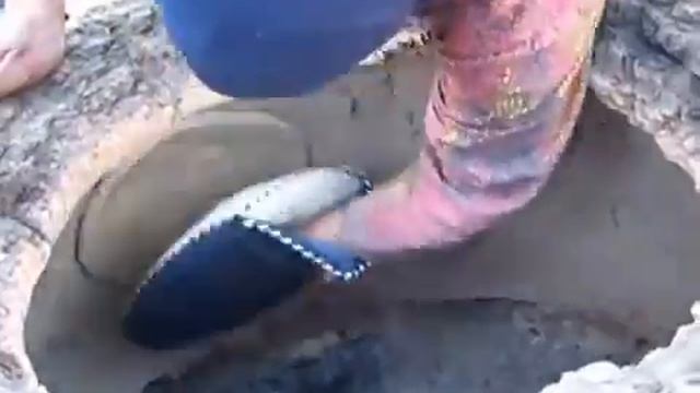 Поваренная книга