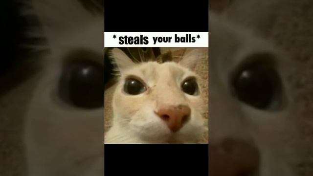 Discord shitpost 30 mins (volume warning) смотреть онлайн
