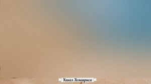 Звук комара Жужжание и писк комара 1 час  Mosquito sound effect prank