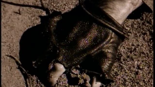 Jon Bon Jovi - Dyin' Ain't Much Of A Livin'