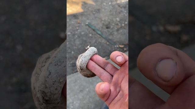 Тренировка перед встречей с любимой после долгой разлуки ??????????? смотреть онлайн