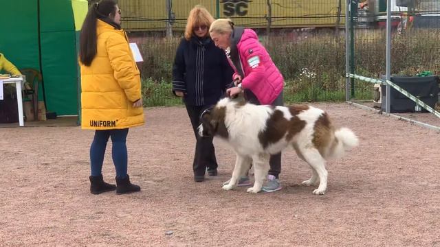 БАРМАЛЕЙ смотреть онлайн