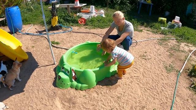 Щенки породы ЧИХУАХУА играют у бассейна с Даришкой / купить щенка в питомнике РКФ Мари Мистик прода смотреть онлайн