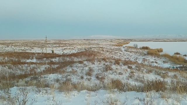 Отшельник в степи. холода и проблемы смотреть онлайн