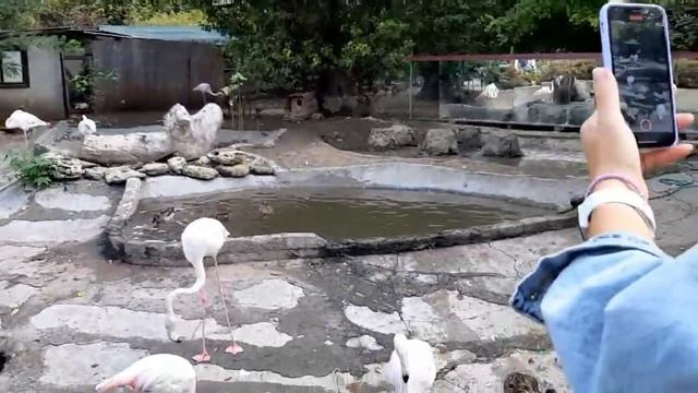 Наше вкусное воскресенье. Людочка сводила Кирочку в зоопарк. Новая стрижка у Марка. смотреть онлайн